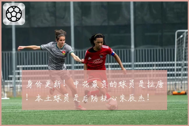 身价更新!申花最贵的球员是拉唐!本土球员是后防核心朱辰杰!