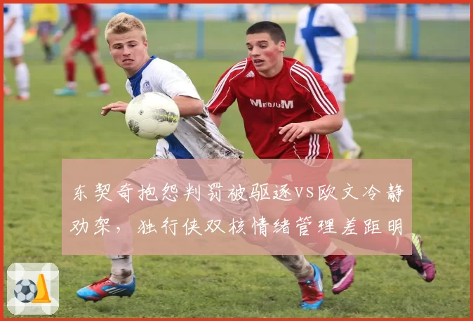 东契奇抱怨判罚被驱逐vs欧文冷静劝架，独行侠双核情绪管理差距明显